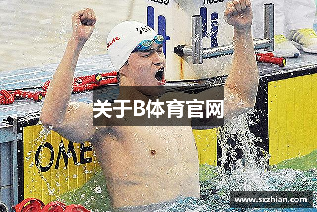 关于B体育官网